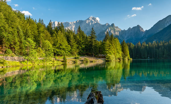 AUEFL_Alps-Mountain-Trees-Reflect.jpg