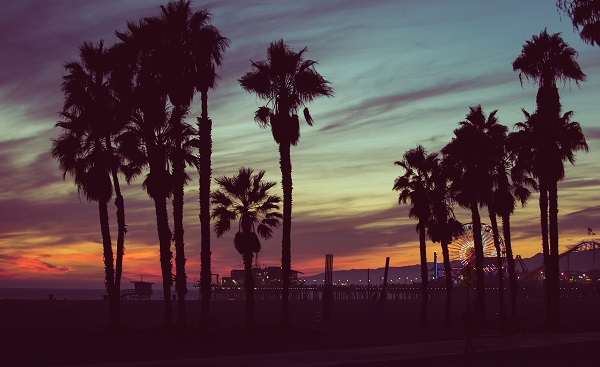 BUS-CAS-CAN-CALI_Sunset colors with palms silhouettes in Santa monica, Los angeles. concept about travels_327531674.jpg