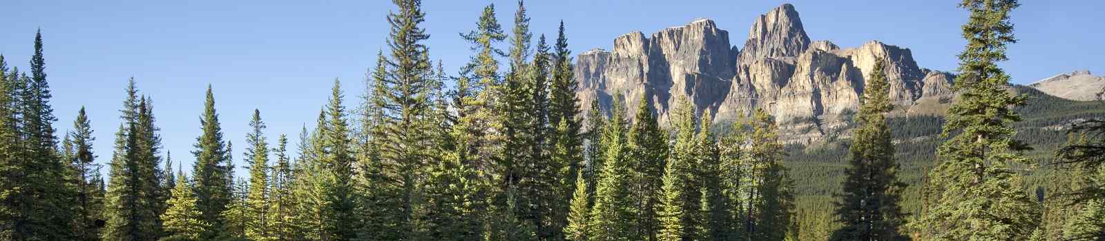 CAD-RM-JTC Alberta Banff Castle Mountain 94604068