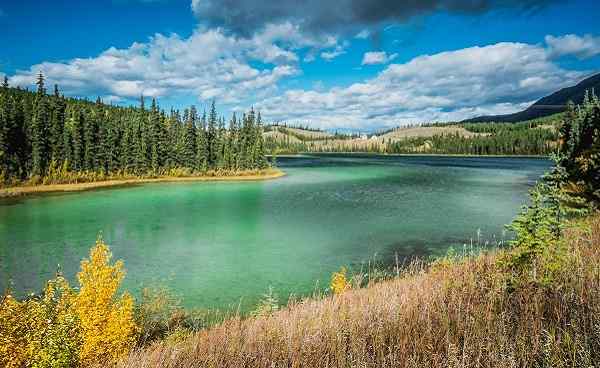 CAD-WHITEHORSE Spirit Lake turquoise coloured lake in Yukon territory during bright autumn day beautiful colour calm water shutterstock 562690828