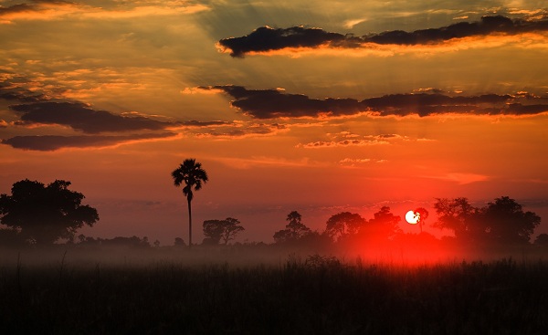 CHOBE-PRINCESS Orange sunrise layers clouds above misty Delta grasslands 146944337