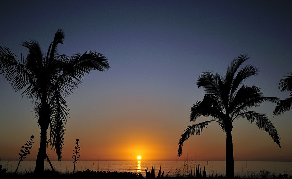 ECHTE-FLORIDA Florida Sonnenuntergang 169919648