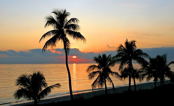 HARLEY-DAYTONA Florida Sanibel Island Sonnenuntergang 53646865