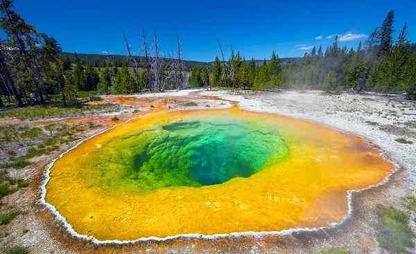 HARLEY-WILD-WEST Morning Glory Pool in Yellowstone National Park of Wyoming  USA