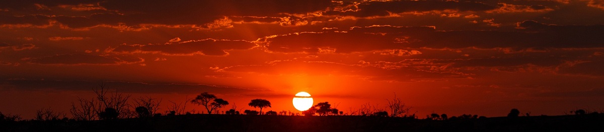 KL-JOBURG-CPT  Botswana Chobe NP sunset Panorama 186301721