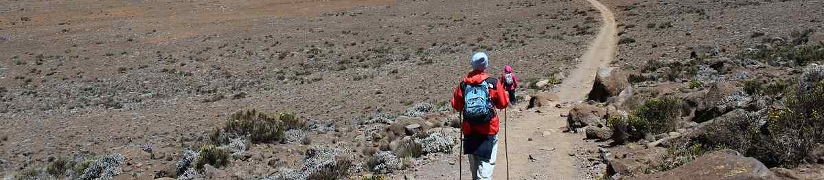 KL-KILIMANJARO-MACHAME  Tansania Kilimanjaro Wanderer 197984204 2