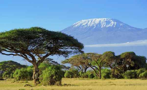 KL-KILIMANJARO-MACHAME Tansania Kilimanjaro 181967831