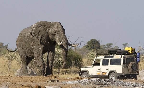 KL-NA-BO-VICFALLS 4x4 car African Elephant Botswana 23150287
