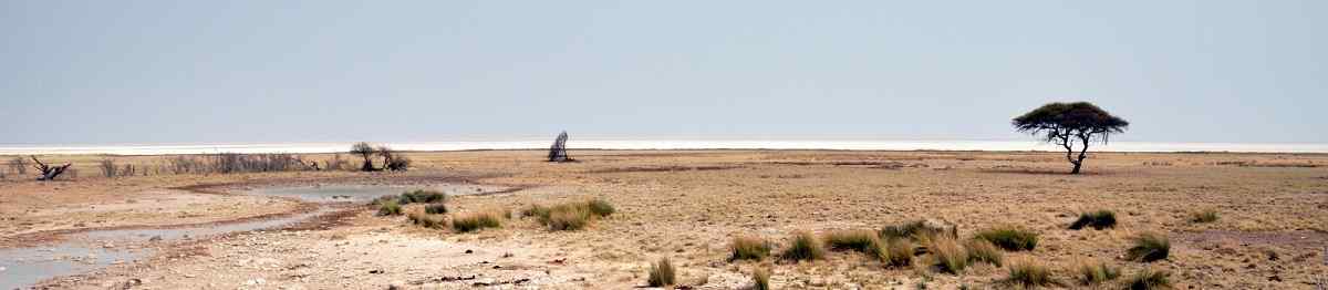KL-NA-SUEDEN  Namibia Etosha nationalpark Panorama 157966103
