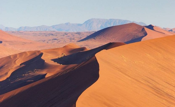 KL-STAMMVOELKER Namib Desert Hoch 62214022