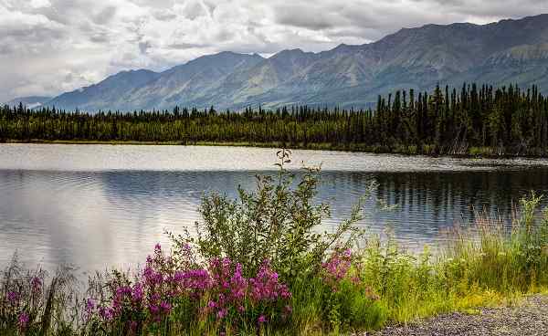 KL-WAN-A-Y Alaska Highway above Haines Junction- Yukon Territory- Canada The views are endless in this part of the country shutterstock 508092508