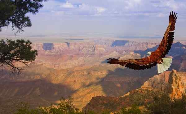 MOTORRAD_SCC_USA Grand Canyon.jpg