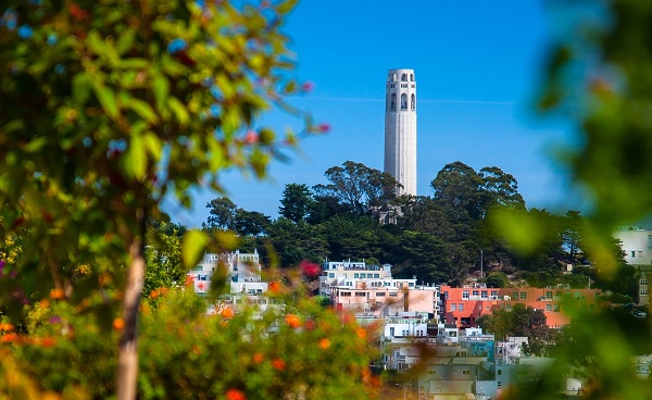 NUR-IN-SAN-FRANCISCO San Francisco Coit Tower on Telegraph Hill 173728673