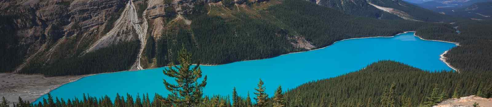 PARKS-WEST Peyto Lake in Banff Canada shutterstock 538033426