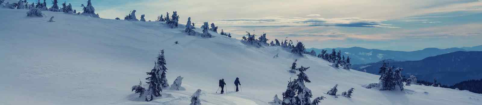 SCHNEESCHUHWANDERN-TEG  Hikers in the winter mountains shutterstock 534857782
