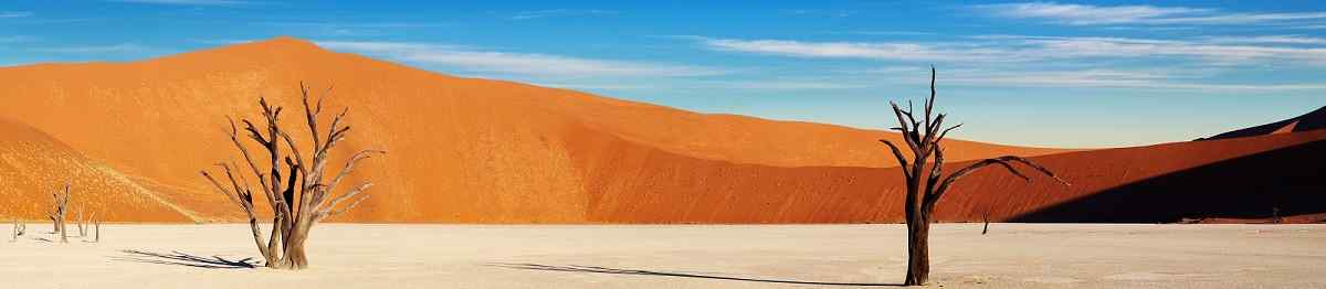 SF-EINZIGARTIGES-NA  Namibia Desert Panorama 49129750