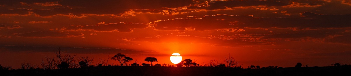 SF-VICFALLS-ZAMBEZI  Botswana Chobe NP sunset Panorama 186301721