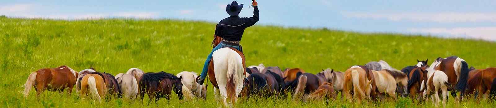 SILVER-SPUR -USA Cowboy-auf-Pferd