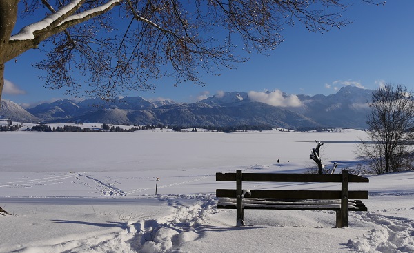 SKGZ-LANGL Winter lake and still the Alps shutterstock 550127812