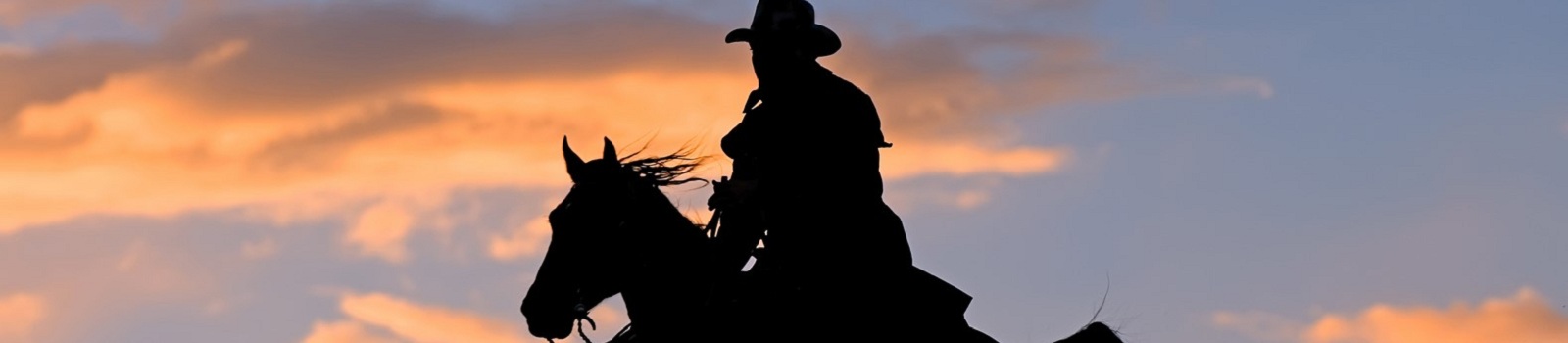TANQUE-VERDE-RANCH -USA Ranch Cowboy riding across Montana ridge at dawn  113696368