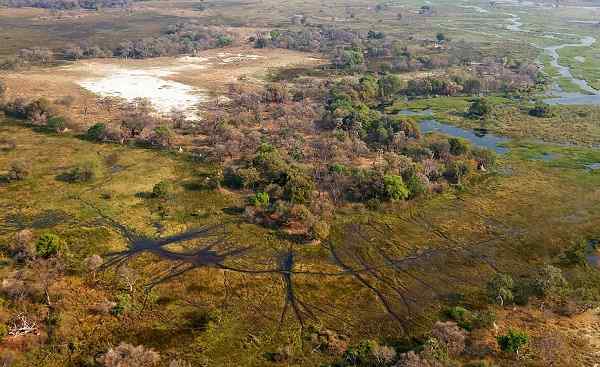 ZAMBEZI-QUEEN Okavango delta from the air 145780400
