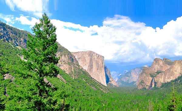usa-nationalpark USA Yosemite National Park Panorama