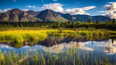 Naturerlebnis Alaska & Yukon