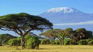 Kilimanjaro - Machame Route via Stella Point