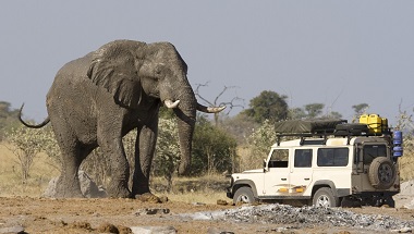 4x4_car_African_Elephant_Botswana_23150287.jpg