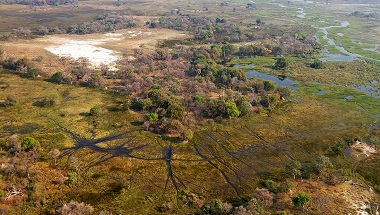 Okavango_delta_from_the_air_145780400.jpg